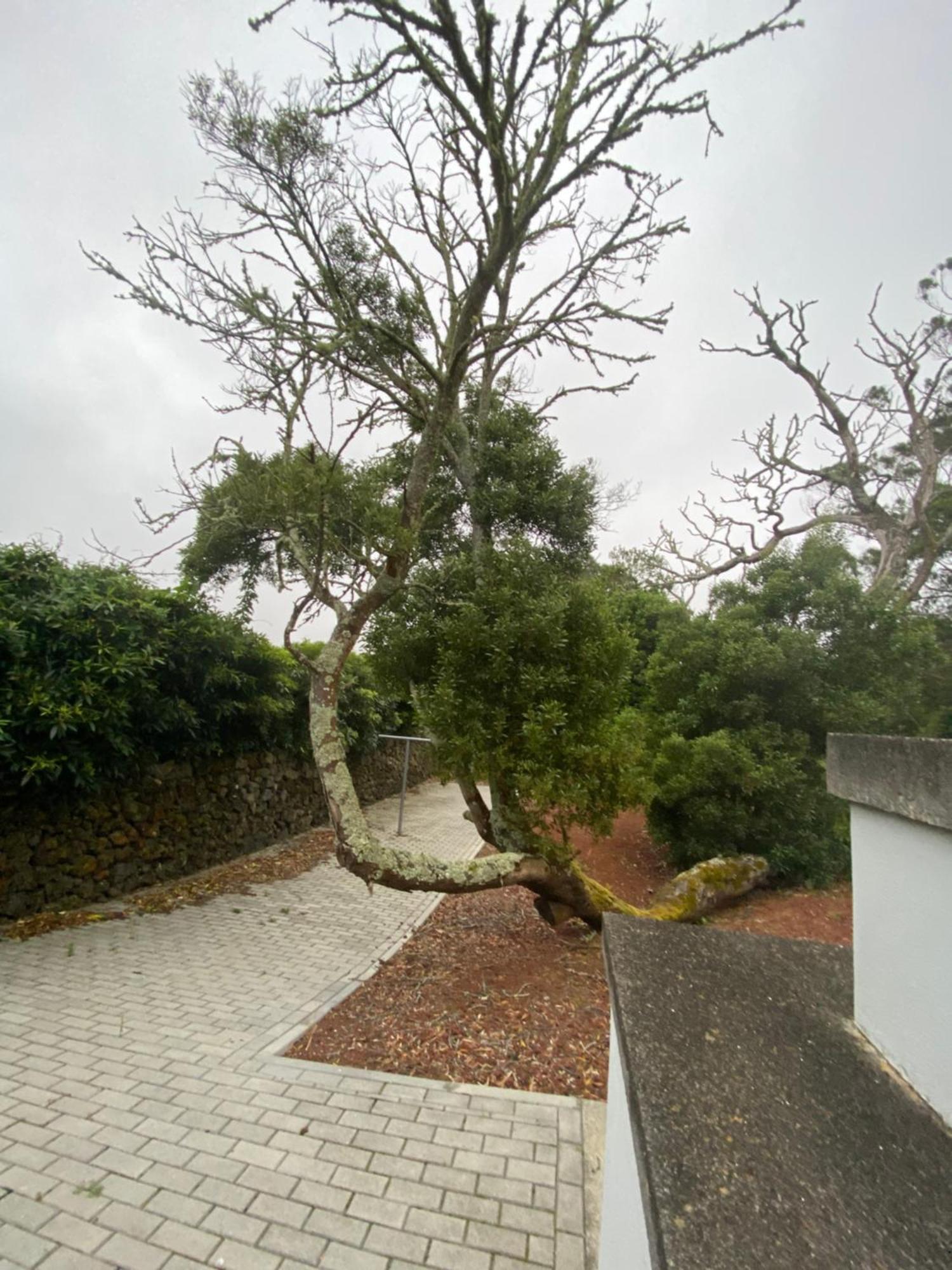 Casa Azul Terceira Island Azores Fonte do Bustardo Kültér fotó